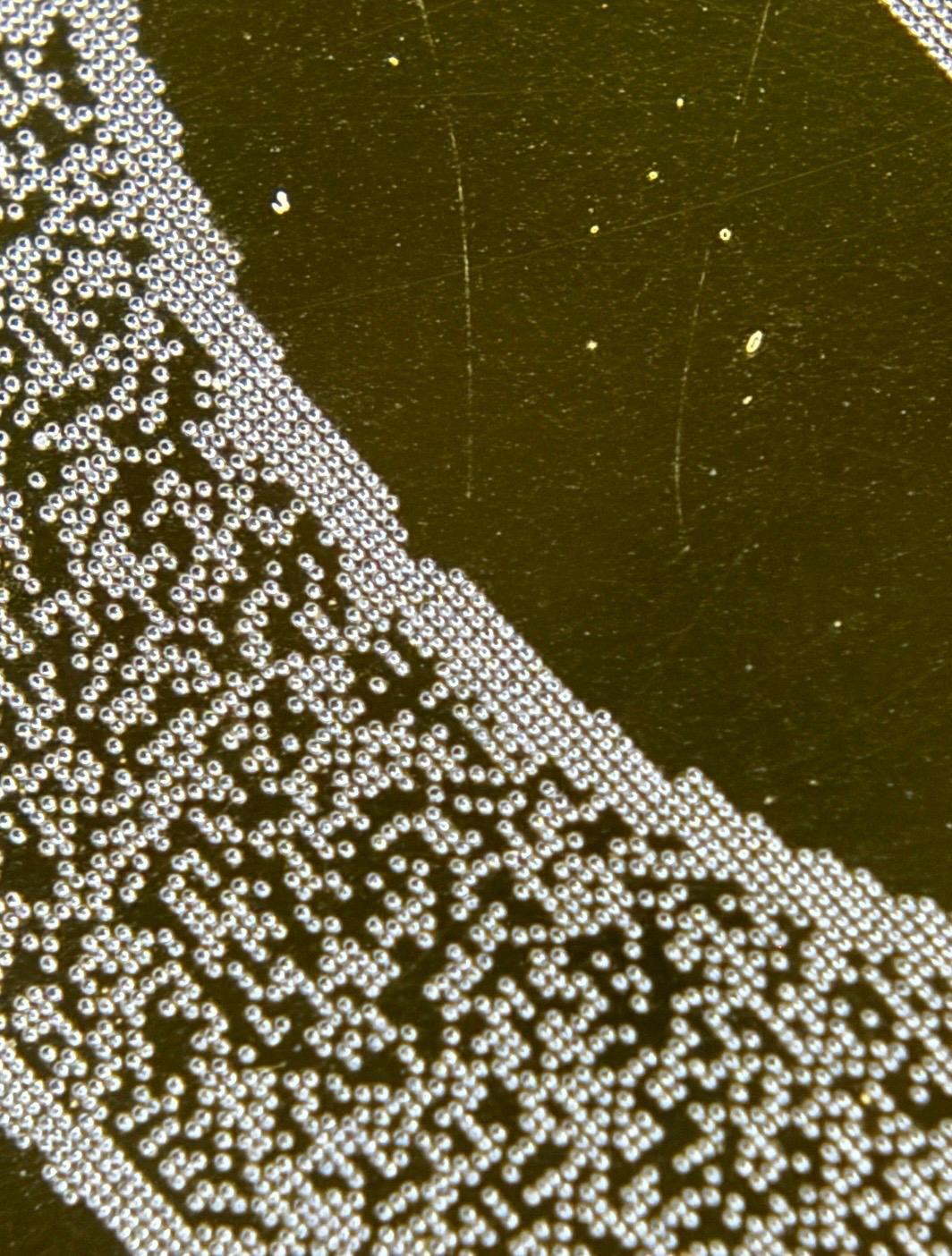 Targhetta del microchip Chanel a confronto da angolazioni diverse